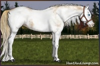 Horse Color:White Spotted Red Dun Splash 