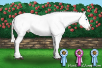 Horse Color:Silver Bay Mushroom Splash Appaloosa 