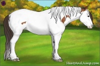 Horse Color:Bay Splash Tobiano Varnish 