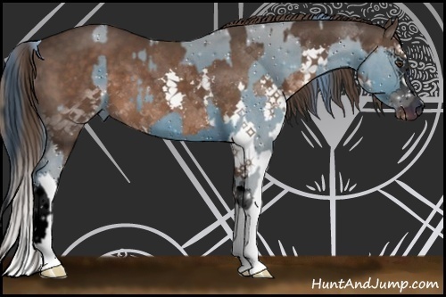 Horse Color:ERROR: UNKNOWN ANOMALY and Liver Chestnut Sabino Splash Rabicano