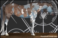 Horse Color:ERROR: UNKNOWN ANOMALY and Liver Chestnut Sabino Splash Rabicano 