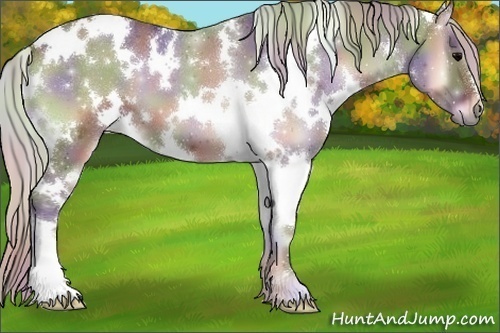 Horse Color:Nacre White Spotted Silver Blue Onyx 