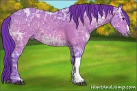Horse Color:Watercolor Bay Ice 