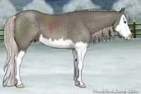 Horse Color:Silver Blue Roan Splash