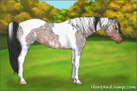 Horse Color:Brown Ice Roan Tobiano 