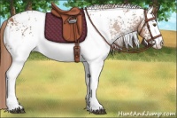 Horse Color:White Spotted Chestnut Varnish 