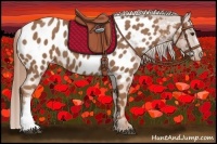 Horse Color:Chestnut Near Leopard 