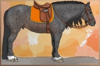 Horse Color:Brown Ice 