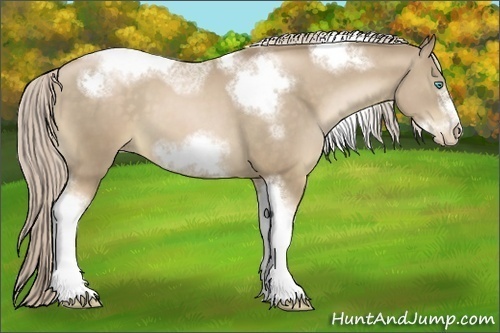 Horse Color:White Spotted Chocolate Palomino Pearl Tobiano Frame