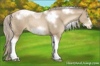 Horse Color:White Spotted Chocolate Palomino Pearl Tobiano Frame 