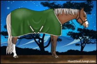 Horse Color:Silver Bay 