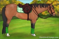 Horse Color:Bay Roan 