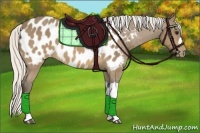 Horse Color:Silver Buckskin Near Leopard