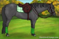 Horse Color:Blue Roan 