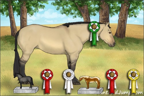 Horse Color:Buckskin Dun 