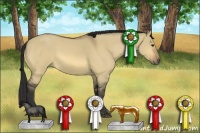 Horse Color:Buckskin Dun 