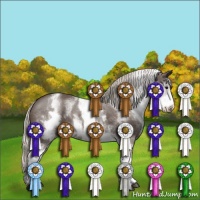 Horse Color:White Spotted Silver Black Rabicano