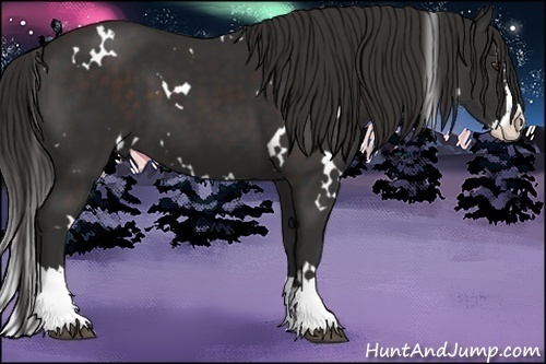 Horse Color:White Spotted Liver Chestnut Splash