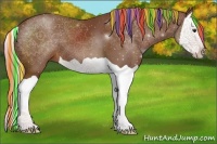 Horse Color:Painted Chestnut Splash 