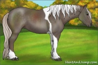 Horse Color:Silver Black Tobiano