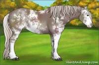 Horse Color:Chocolate Silver Black Sabino 
