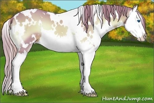 Horse Color:Watercolor White Spotted Red Onyx Splash 