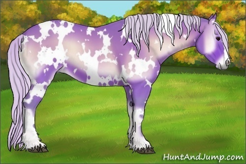 Horse Color:Watercolor White Spotted Silver Bay Onyx 