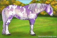Horse Color:Watercolor White Spotted Silver Bay Onyx 
