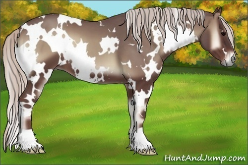Horse Color:White Spotted Chocolate Silver Blue Onyx