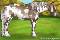 Horse Color:White Spotted Chocolate Silver Blue Onyx 