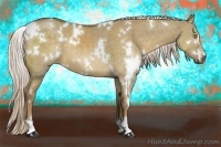Horse Color:White Spotted Chocolate Palomino Dun