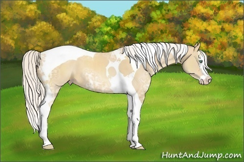 Horse Color:Silver Classic Cream Champagne Ice Splash Tobiano 