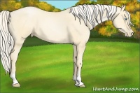 Horse Color:Palomino Pearl