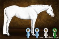 Horse Color:Palomino Varnish