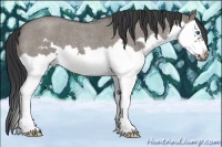 Horse Color:Grullo Roan Splash Frame 