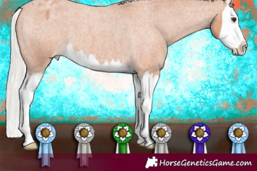 Horse Color:Silver Bay Roan Splash Varnish 