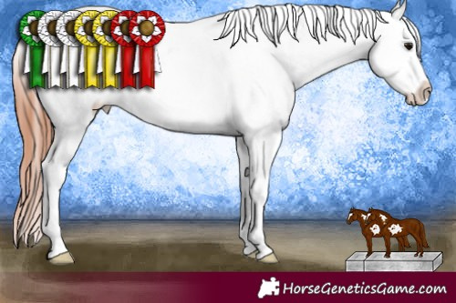 Horse Color:Bay Tobiano Frame Appaloosa 