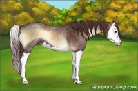 Horse Color:Chocolate Brown Onyx Splash 