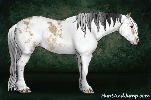 Horse Color:Buckskin Dun Sabino