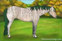 Horse Color:Painted Buckskin Ice Roan
