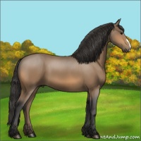 Horse Color:Buckskin 