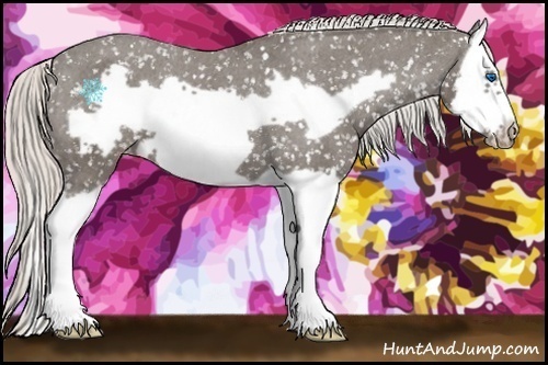 Horse Color:Silver Smoky Black Splash Frame Appaloosa 