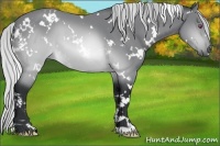 Horse Color:White Spotted Silver Brown Chinchilla 