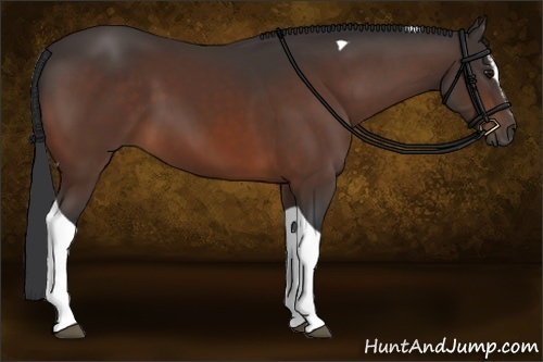 Horse Color:Brown Sabino Tobiano