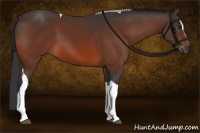Horse Color:Bay Sabino Tobiano