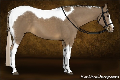 Horse Color:Chocolate Palomino Sabino Tobiano