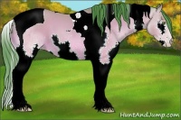 Horse Color:Watercolor Amber Champagne Splash Tobiano 
