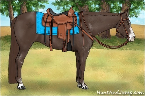 Horse Color:Liver Chestnut Sabino