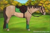 Horse Color:Amber Champagne Roan 