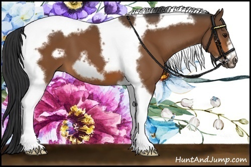 Horse Color:Bay Tobiano Frame 